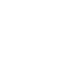 21 icon
